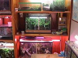 vivarium dendro.Photo.Benoit Vilette