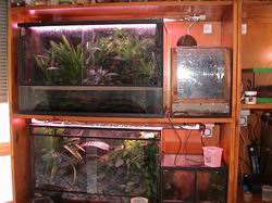 vivarium dendro.Photo.Benoit Vilette